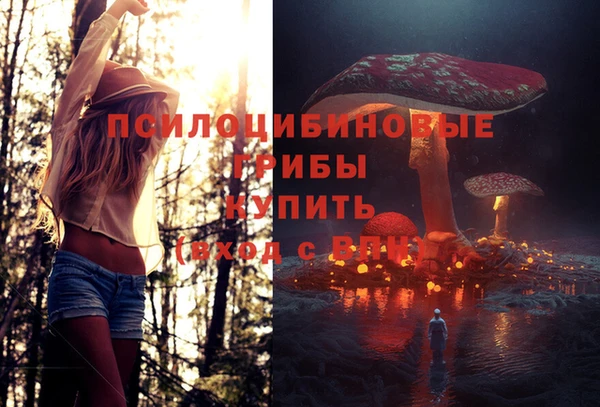 тгк Арсеньев